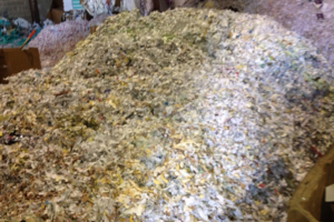 Paper Shredding Long Island We Shred Everything On Site